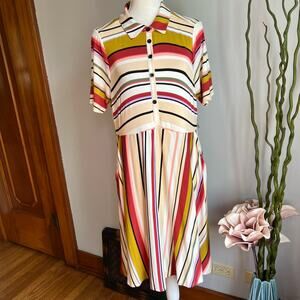 Striped Multicolor Button-Up Dress